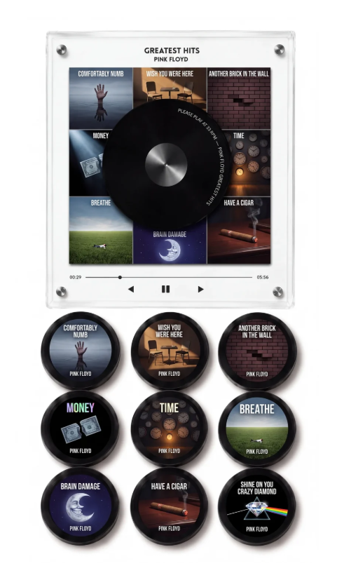 Magnetic Pink Floyd VInyl Set